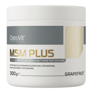 MSM Plus 300G – greipfrutų skonis